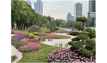 來現(xiàn)場打卡，感受“美麗無錫”的美好